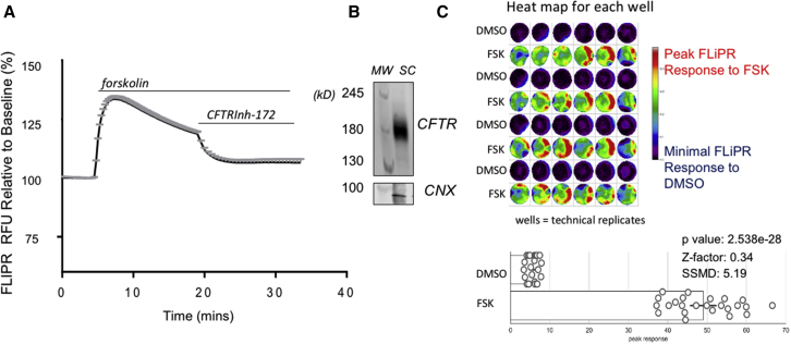 Figure 2