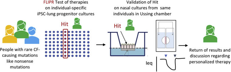 Figure 5