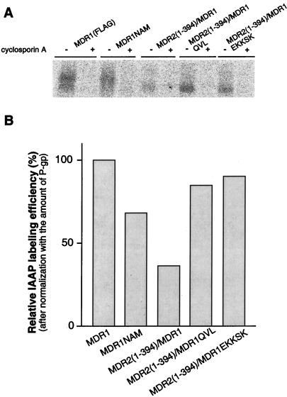 FIG. 6