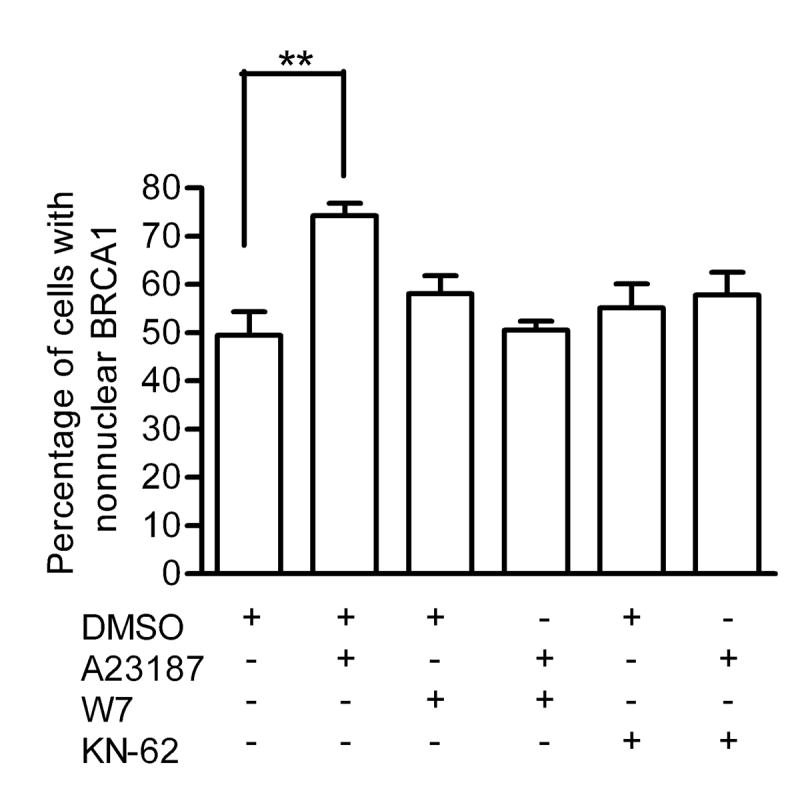 Fig 10