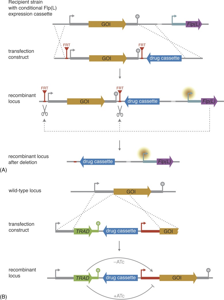 Figure 4.