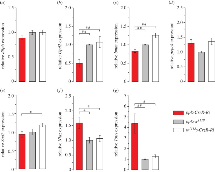 Figure 6.