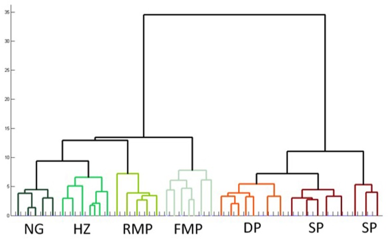 Figure 7