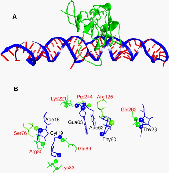 Fig 5