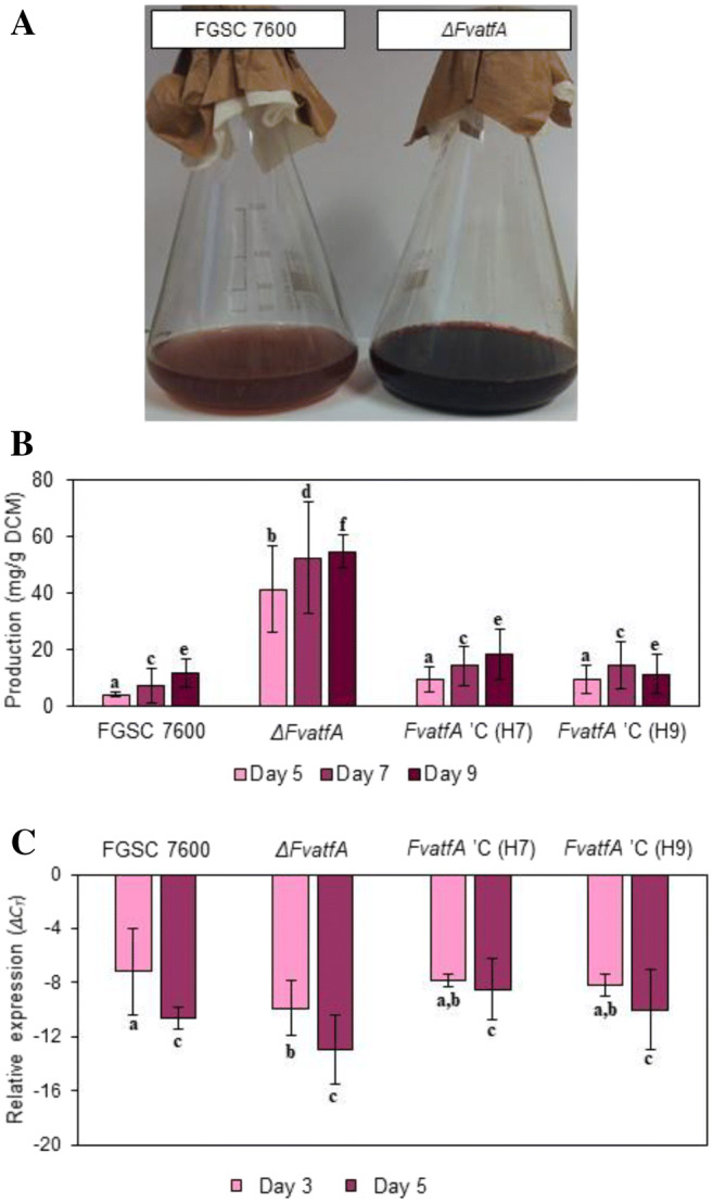 Fig. 7