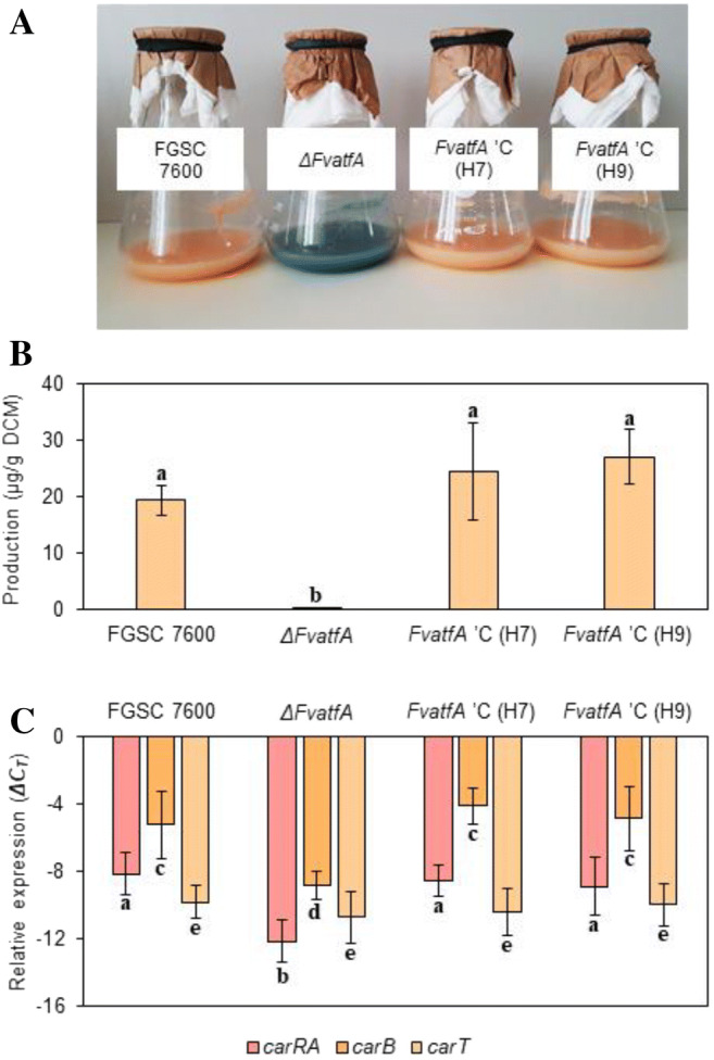 Fig. 6