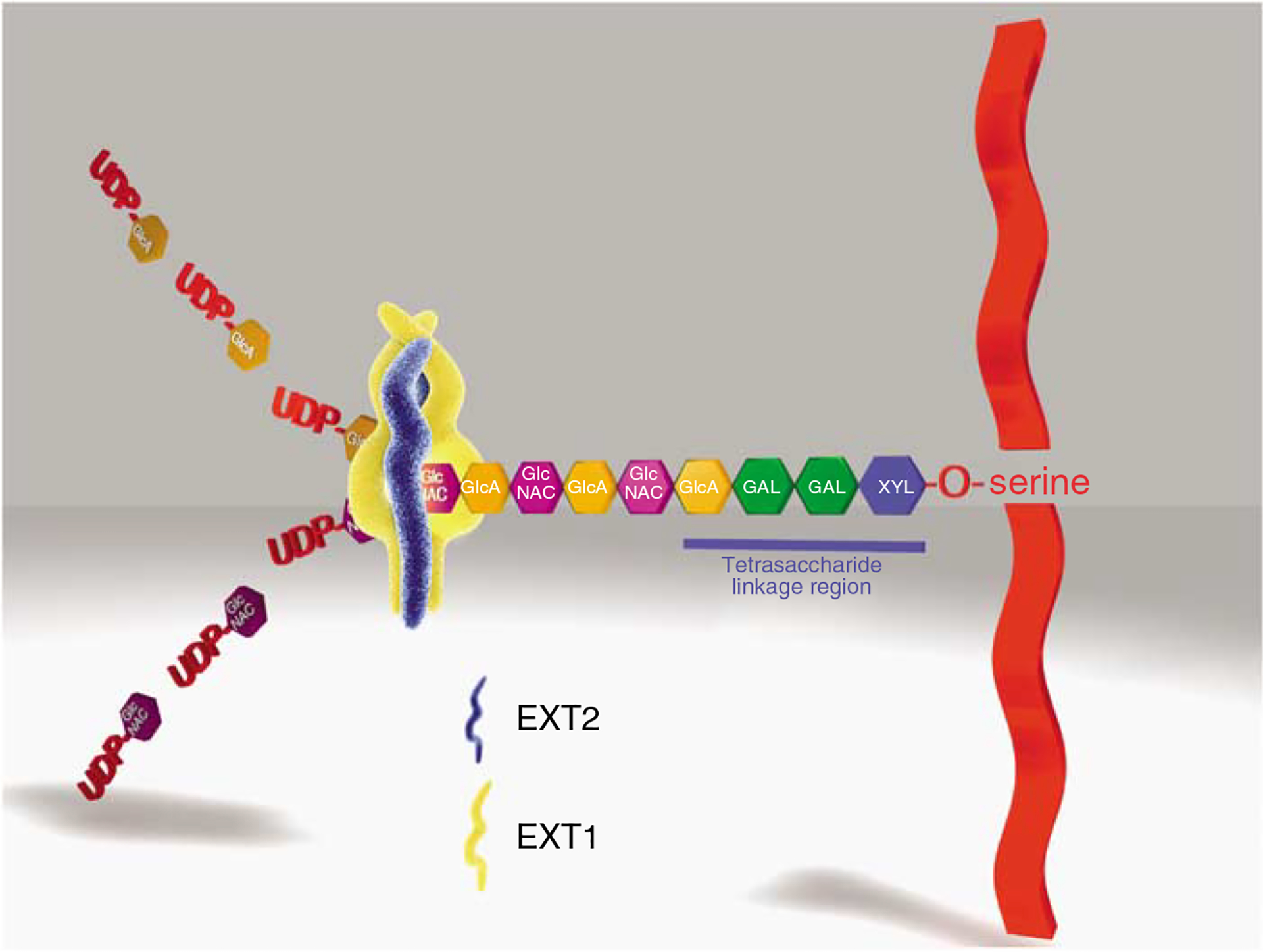 Figure 1 |