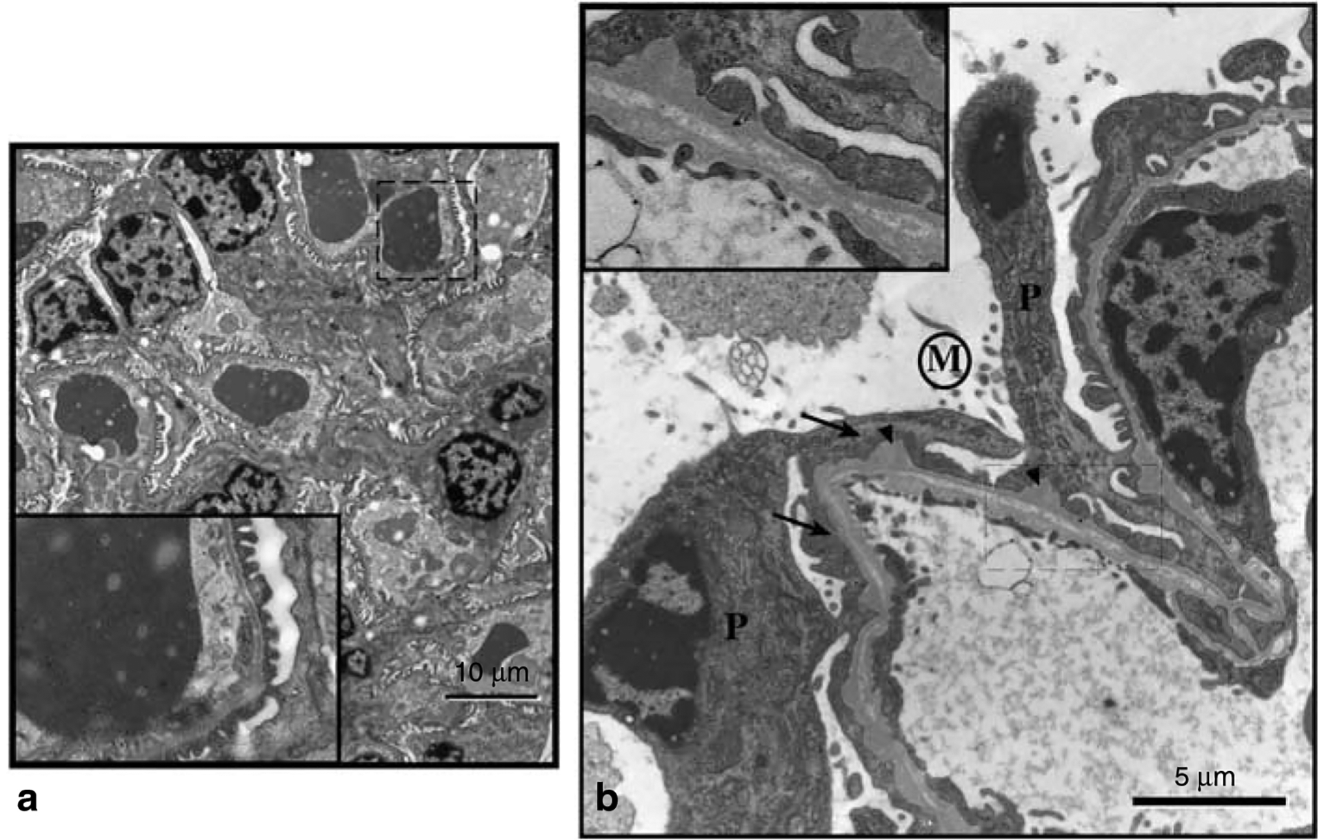 Figure 6 |