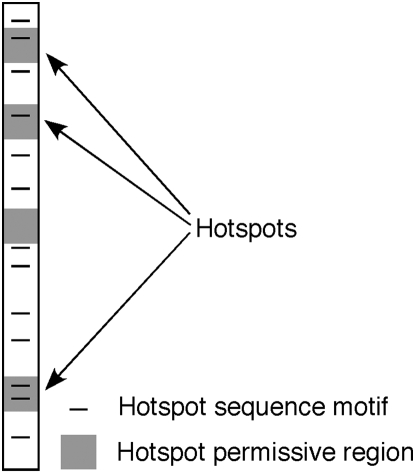 Figure 6.—