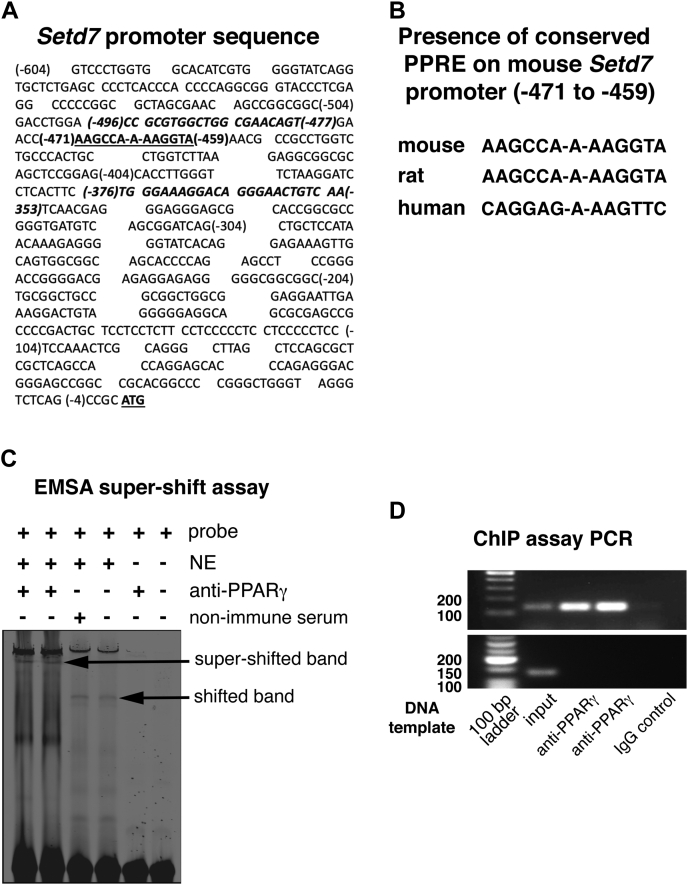 Figure 1