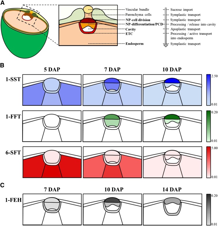 Figure 5.