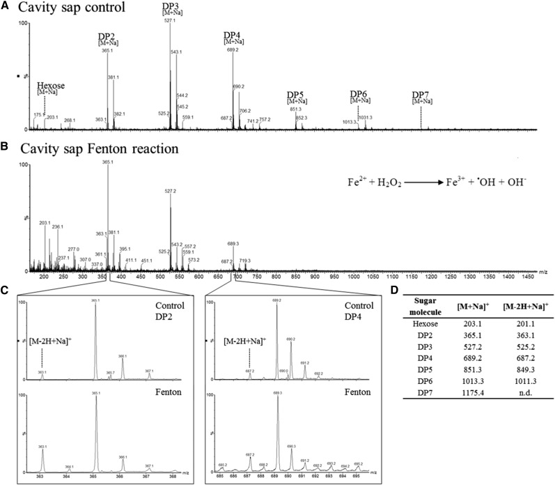 Figure 7.