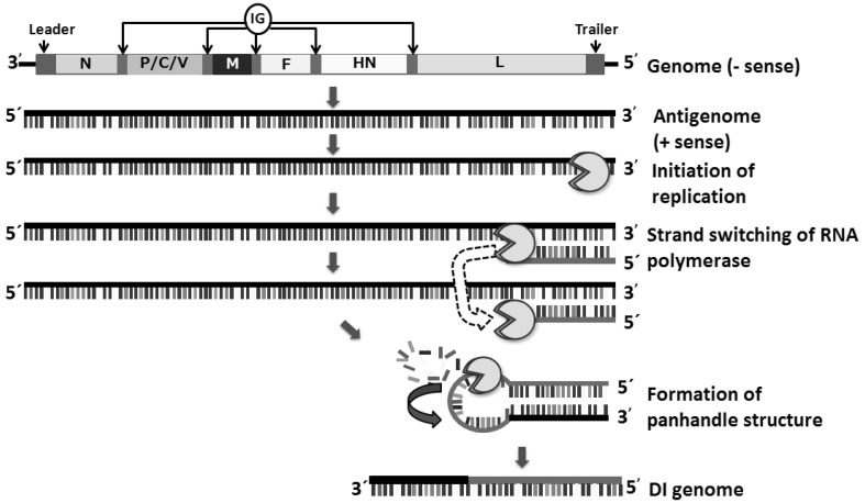 Fig. 3