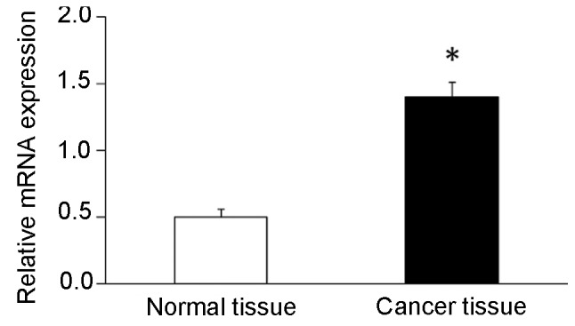 Figure 1.