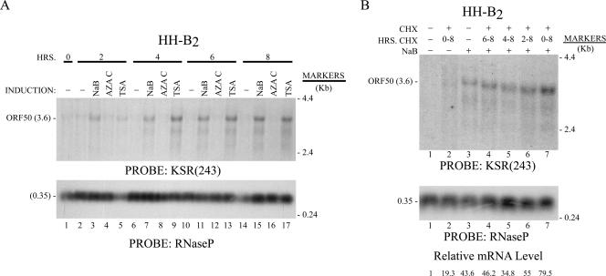 FIG. 5.