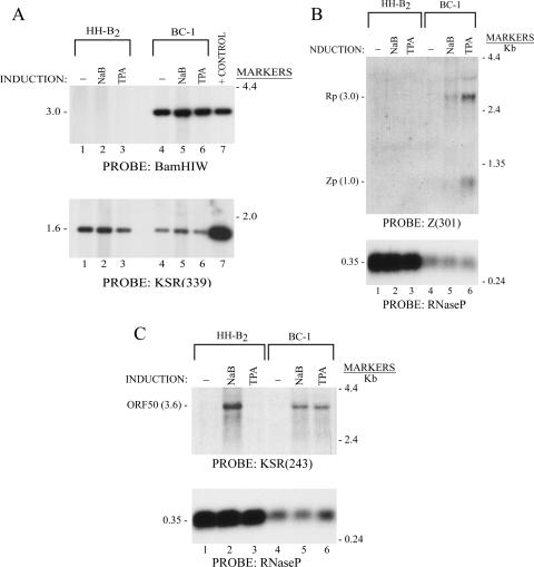 FIG. 7.