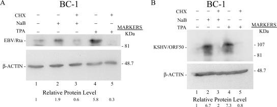 FIG. 9.