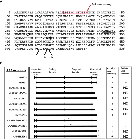 FIGURE 1.