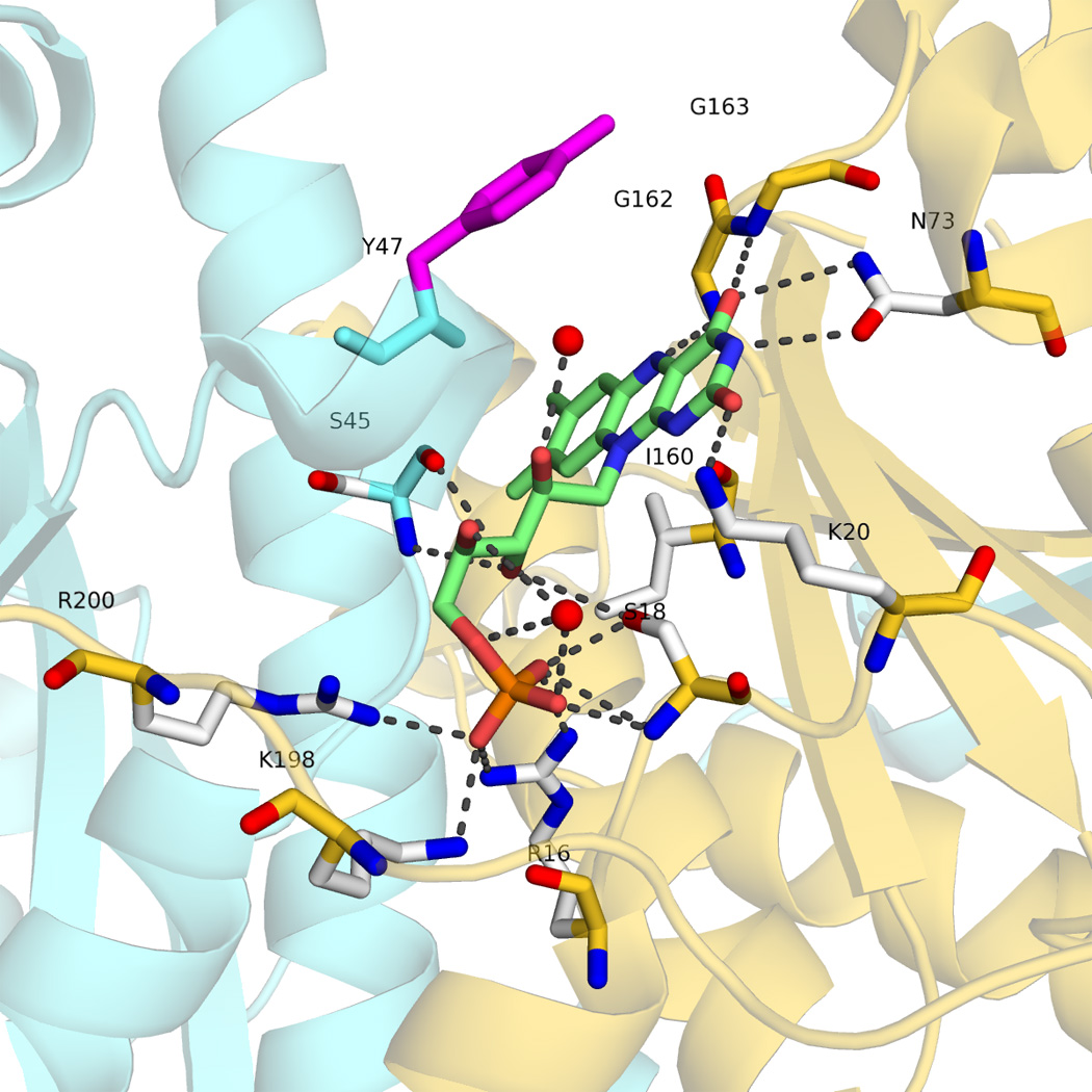 FIGURE 3