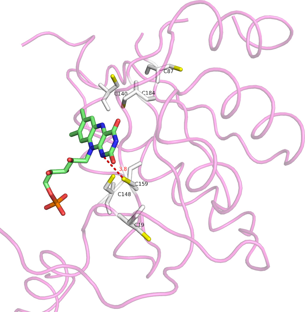 FIGURE 7