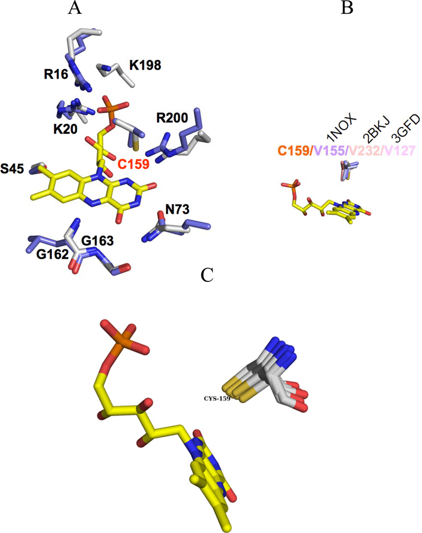 FIGURE 6