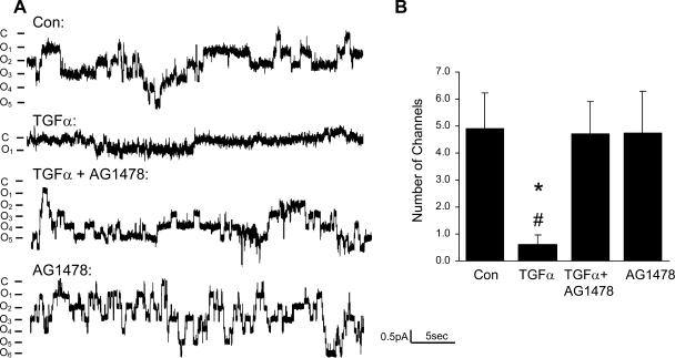 Fig. 8.