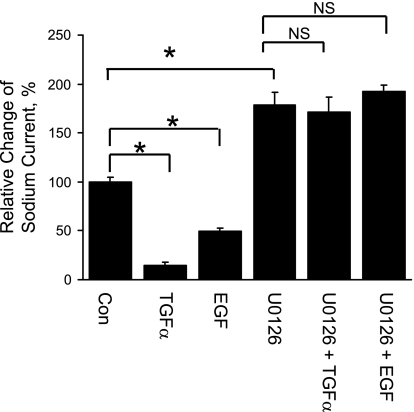 Fig. 11.