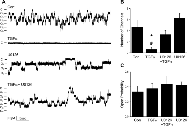 Fig. 10.