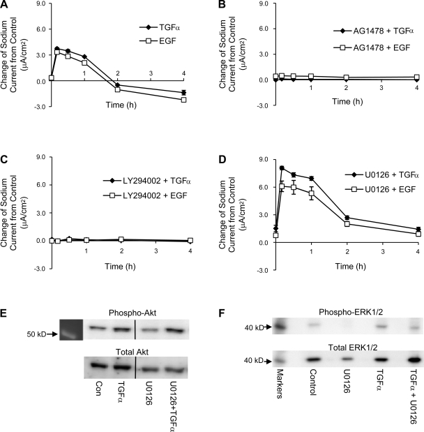 Fig. 12.