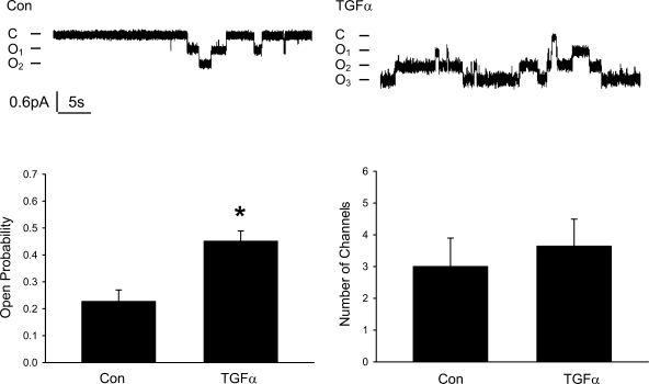 Fig. 13.