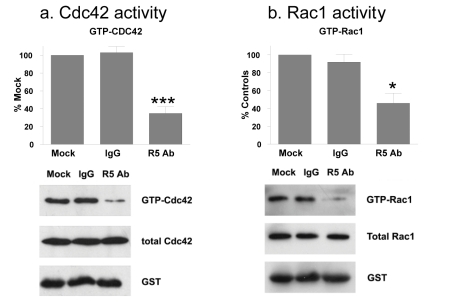 Fig. 8: