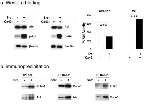 Fig. 4: