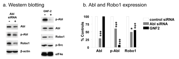 Fig. 5: