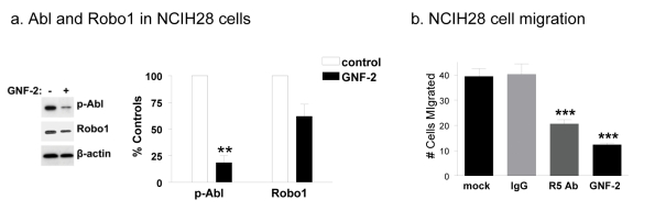 Fig. 7: