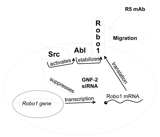 Fig. 6: