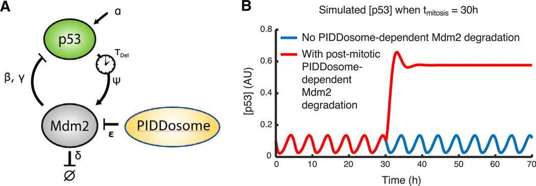 Figure 6.