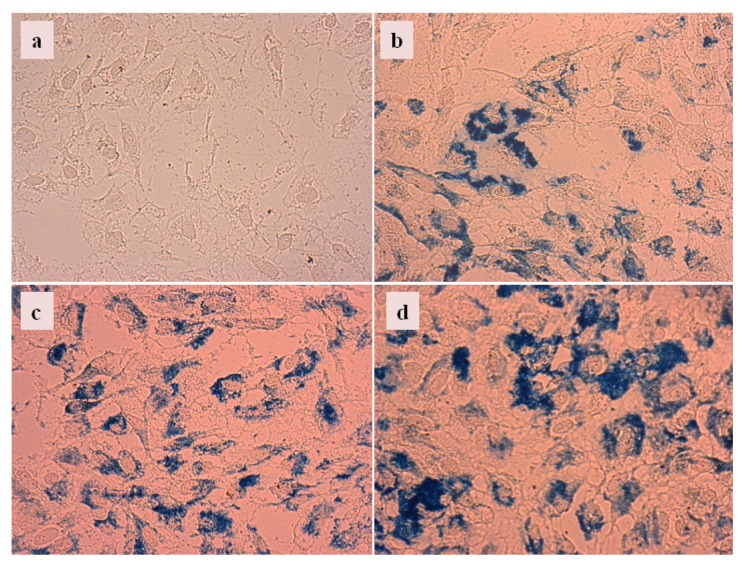 Figure 12