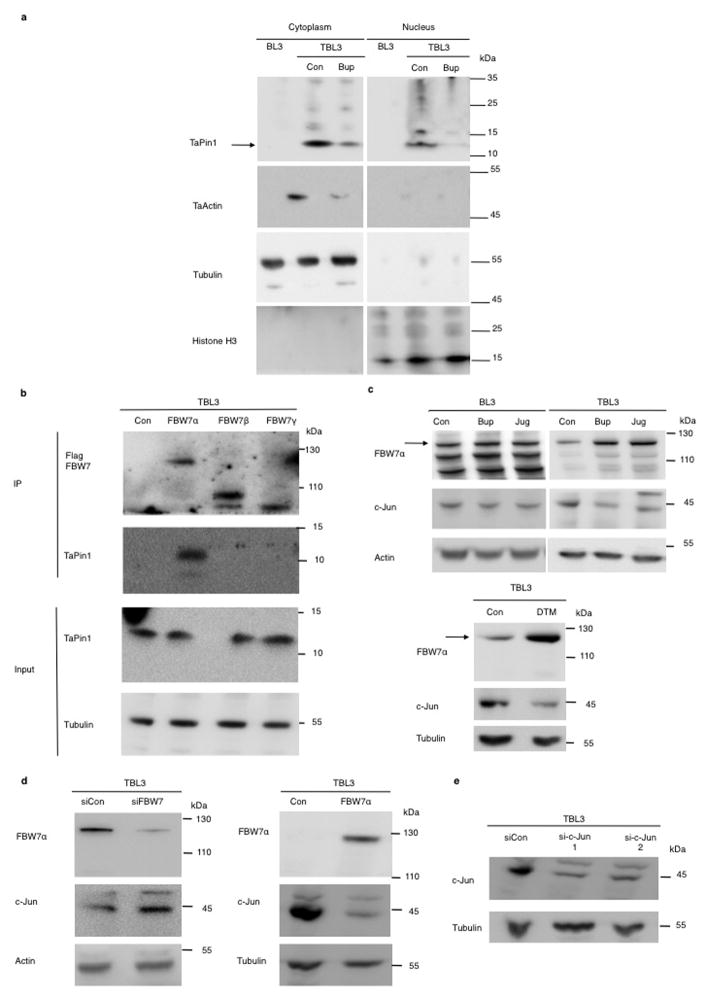 Extended Data Fig. 10