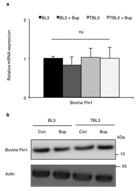 Extended Data Fig. 3