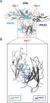 FIGURE 1.