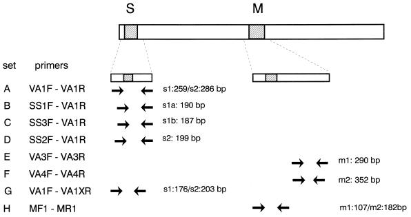 FIG. 1