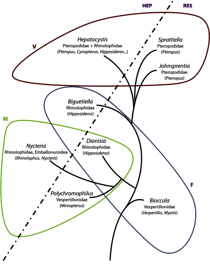 Fig. 31.