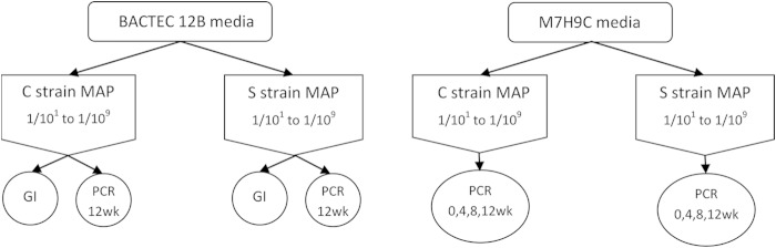 FIG 1