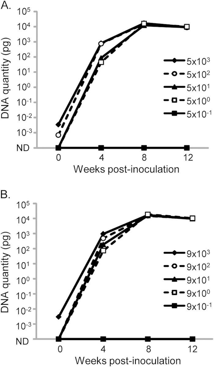 FIG 4