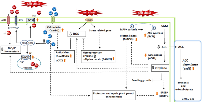 Figure 7