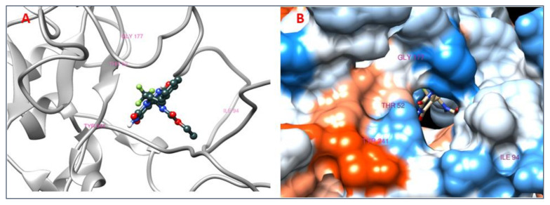 Figure 11