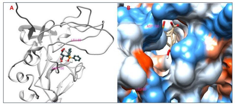 Figure 13