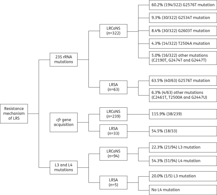 Figure 2.