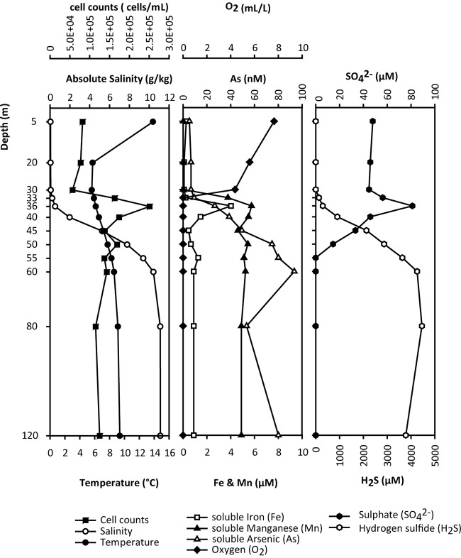 FIG 1