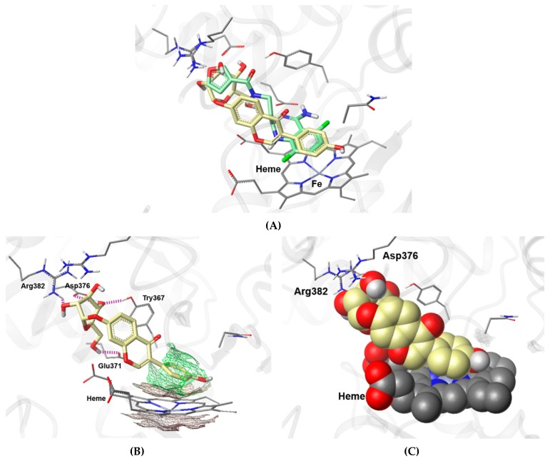 Figure 7